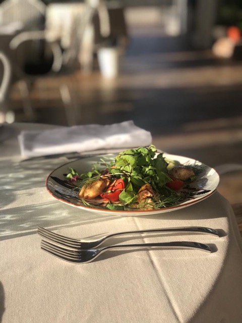 Alma de Papagayo Restaurante — the food and the room