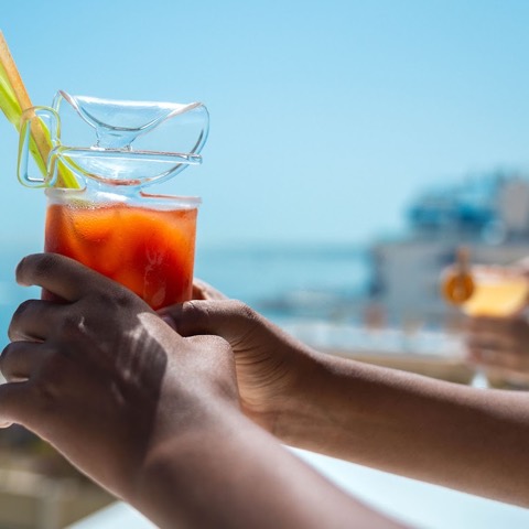 Belvue Rooftop Bar — the food and the room
