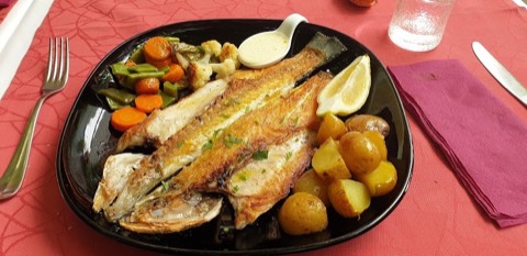 El Patio de Mariscal — the food and the room